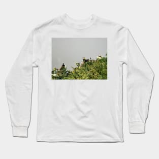 Puffins & Flowers Long Sleeve T-Shirt